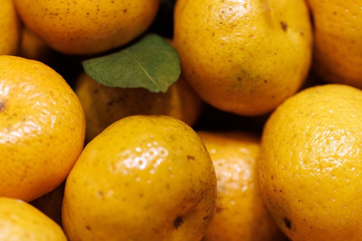 ��� ������� ��������� ���������: ������� ������ ��� ��������