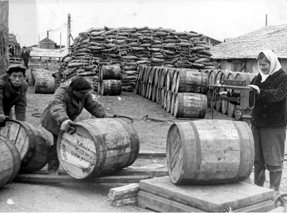 Как лосось из еды для собак стал золотым стандартом: уроки истории Дальнего Востока