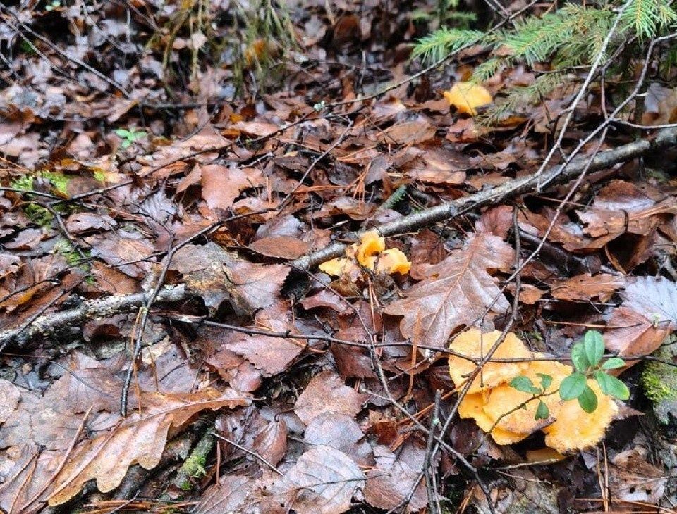 ����������� ������: � ����������� ������ ����� ����� � ����� ������