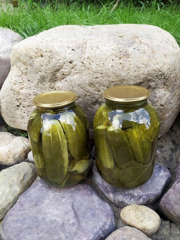 Замечательные малосольные огурчики на зиму: пора готовиться