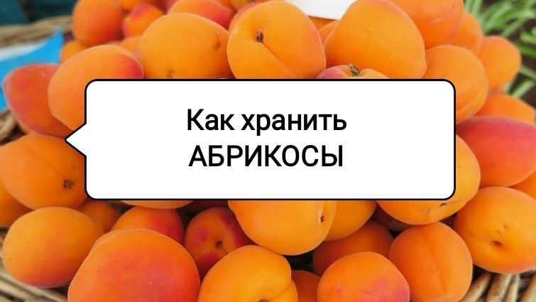 ��� ������� �������� ���, ����� ��������� ���� � �������� �������