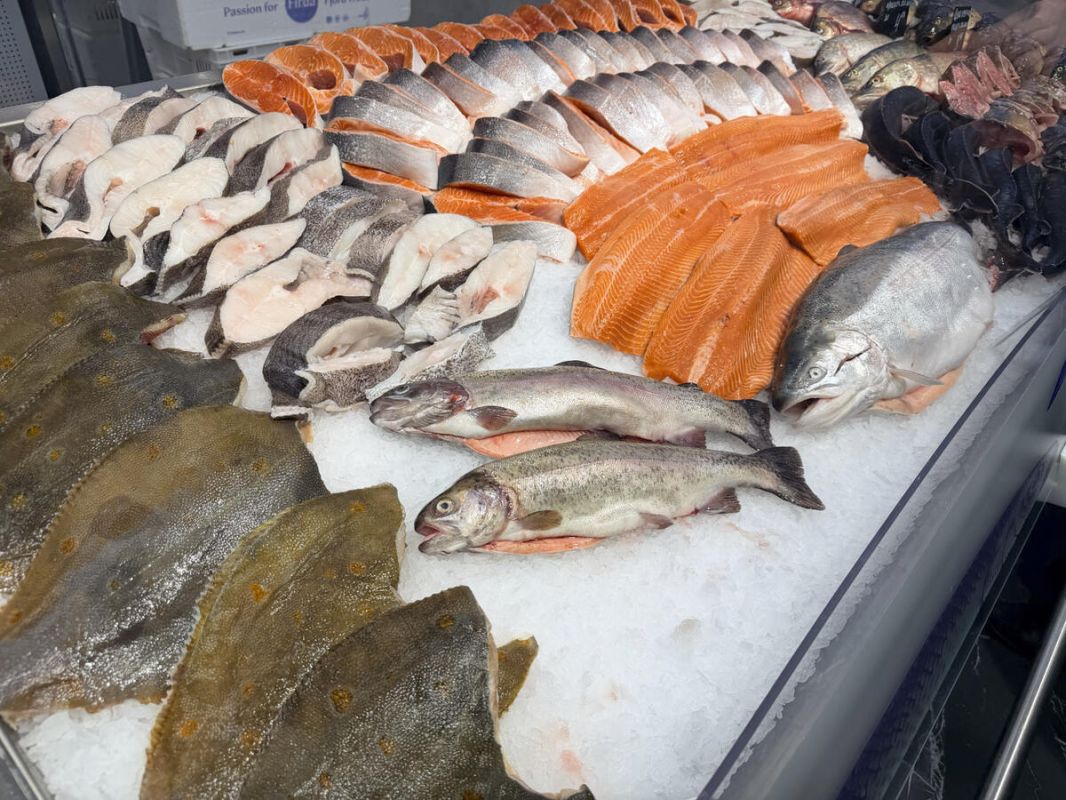 ������ �� ����������� ����: ����������� ������� "����� ���" ��������