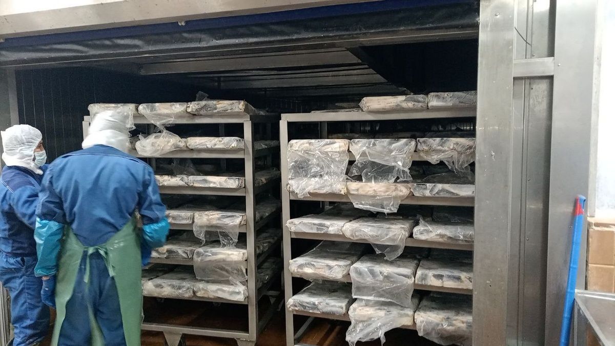 ����������� ��������� ��� ����: ����� ��������� � ������ ��������������