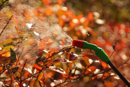 Как осенью заготовить баковую смесь для успешной обработки сада