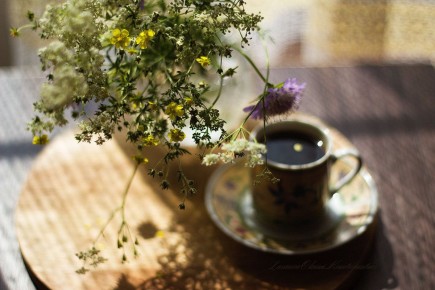 Настоящие испытания подчинения: как молодая наследница ставит бизнес под угрозу