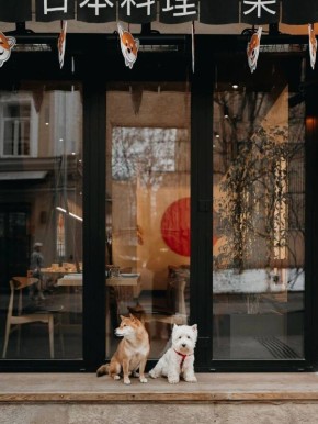 Японский минимализм в сердце города