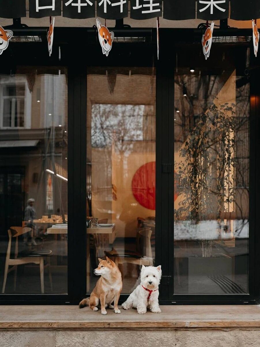 Японский минимализм в сердце города