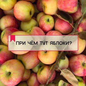 Необычная шарлотка: как добавить пиво в традиционный рецепт