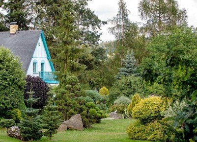 ��������� ������ ����� �� ����������: ������ � ����� �� ��������