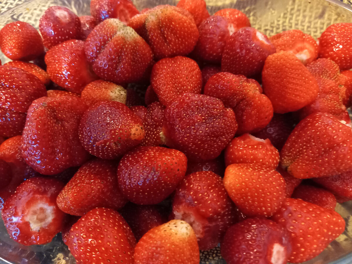 Магия ионитного субстрата: как он изменил урожай клубники