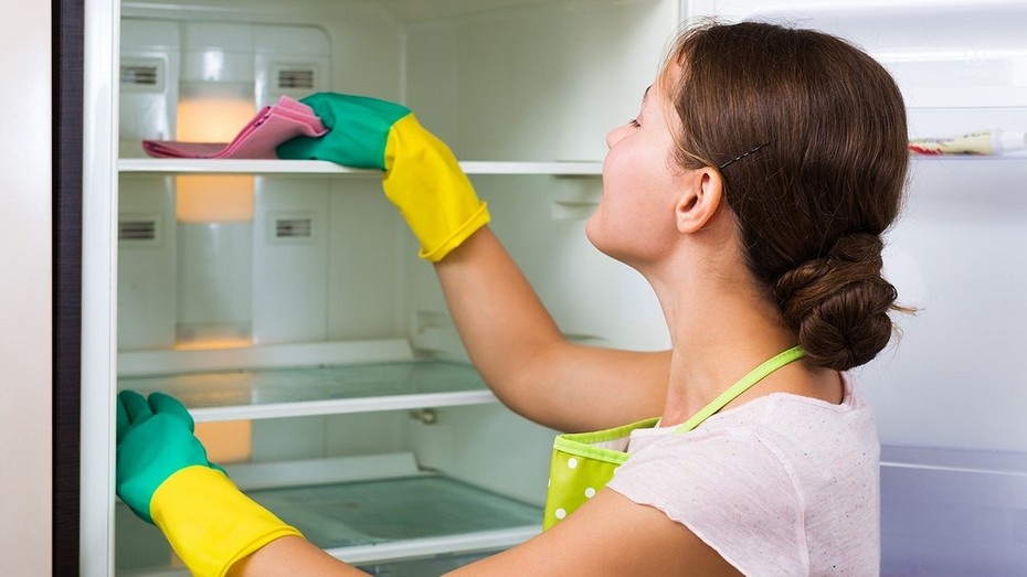 Как освежить и очистить холодильник от ненавистного запаха: секреты и советы