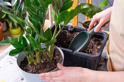 ���� � �������������: ������ � �������