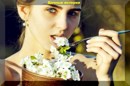 Съедобные цветы, которые украсят любой стол