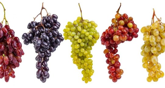 ����������� ���: ��������� ������������ ������, ������� ����� �����������