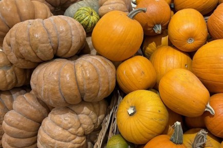 �����: ������� �������� ���� � ������������������ �������