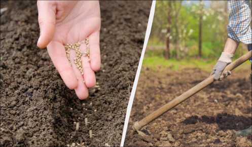 10 ����������� ������� ��� ������ �������, ������� ������� ��� ������