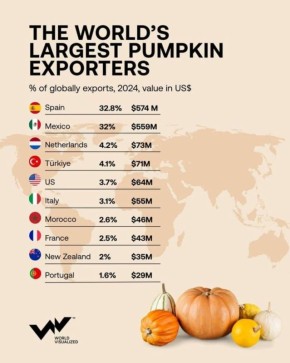 Тыква: от атрибута праздников до важного аграрного товара на мировом рынке