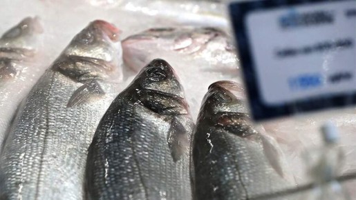 Как выбрать качественную замороженную рыбу: советы экспертов