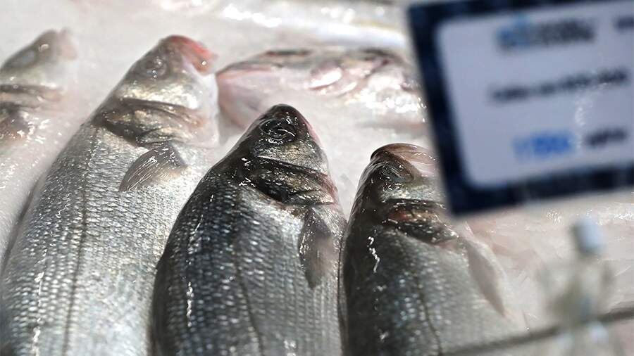 Как выбрать качественную замороженную рыбу: советы экспертов