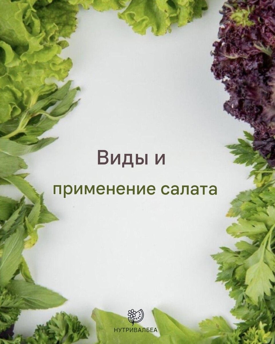 Разнообразие салатов: от классики до кулинарных новинок