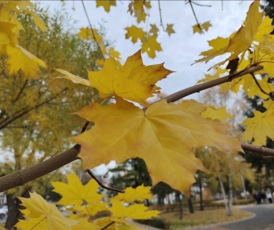 �������� �� �������: ����� � �������� ���������