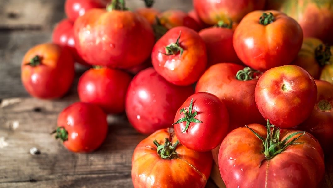 ����� ������ ����� ���������: ������ ���������