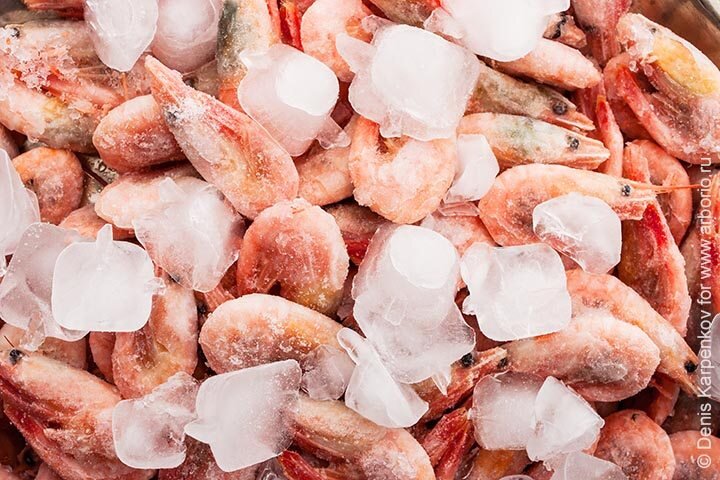 Что нужно знать о креветках: удивительные факты и мифы