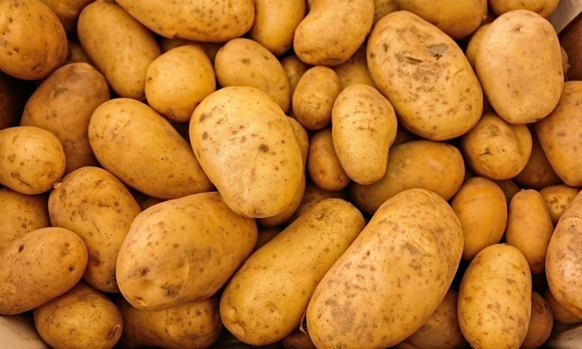 ������ ������ ��������� � ���������������� ��������� � 2028 ����