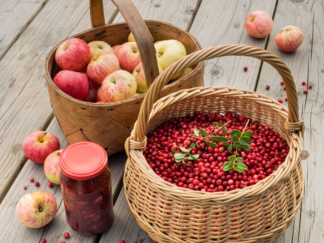 ����������� ���������: �������� ��������� �� ����