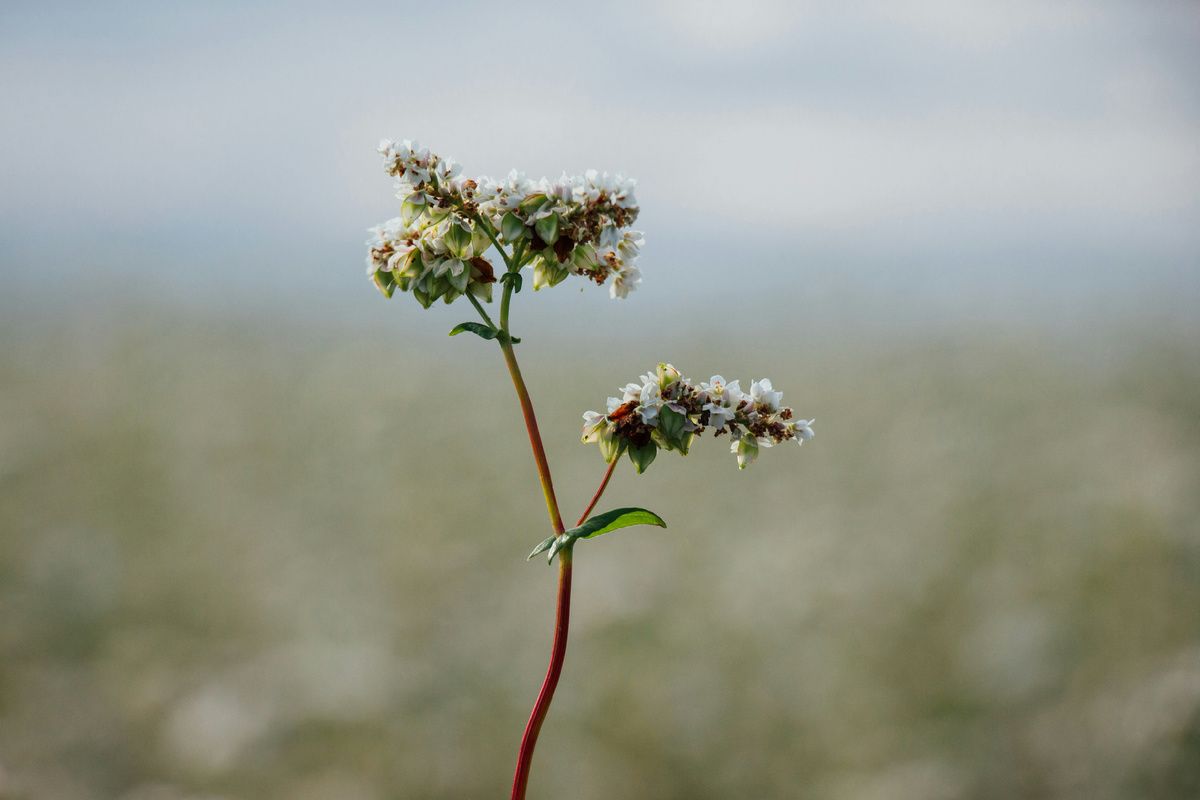 ��� ������� ��������� ������?