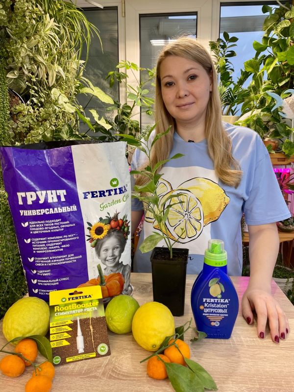 ��������� ������: ������� ��������� �����