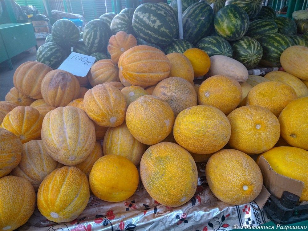 ��� ������� ��������� ����: ������� �������� � ������ �����