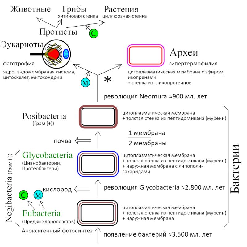 �����: ������������ ������� ����� ��������� � �������� �����