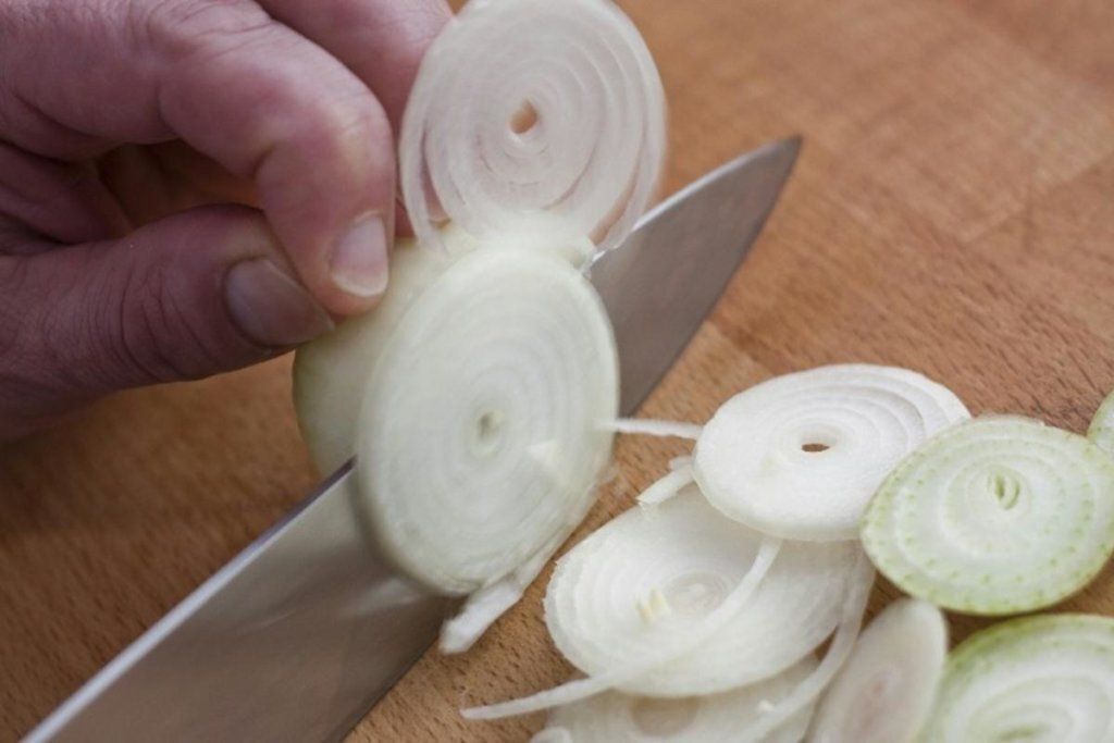 ������ ����� �������: ���� ����� � ����� � ����������