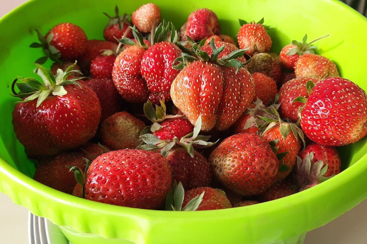 ���� ��������: ��� ������� �������� ������� �� ����