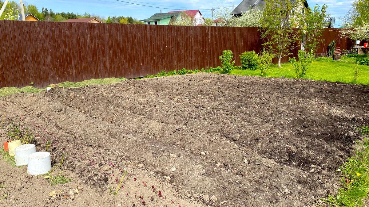 �������� ������ �� �������: ����� ��� �������� � �������� �� �������