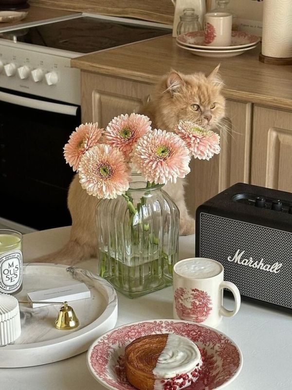 �������� ��������: ������� ���������� ������ ���