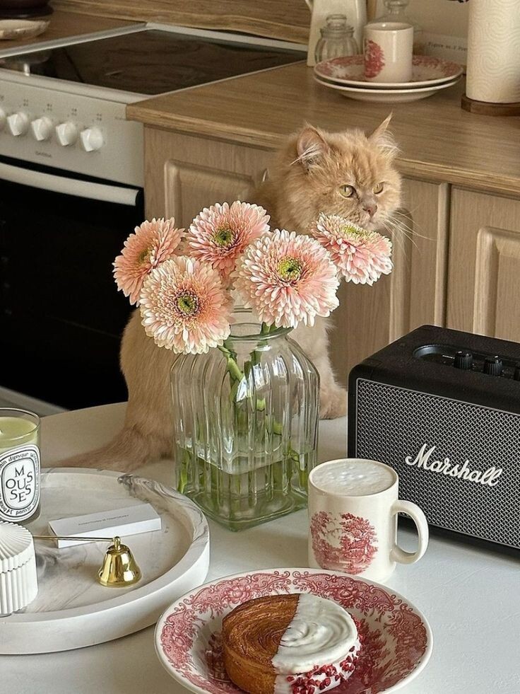 Эстетика завтрака: секреты идеального начала дня