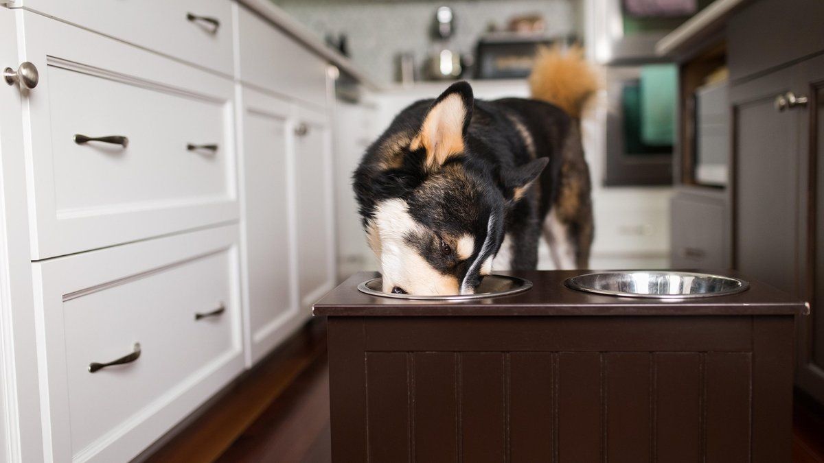 ������ ������� ���������� ������� ��� �����: ������ ����� � ���������� ������������