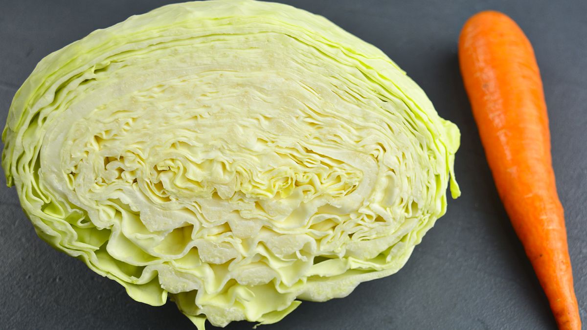 �������� ������� � �����: ������� ������ � ����������� ��������