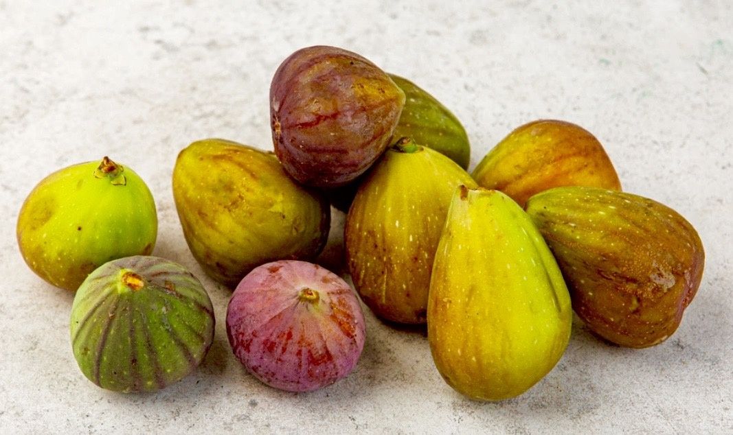 ��� ������� �������� ������: ������ ������� � �������