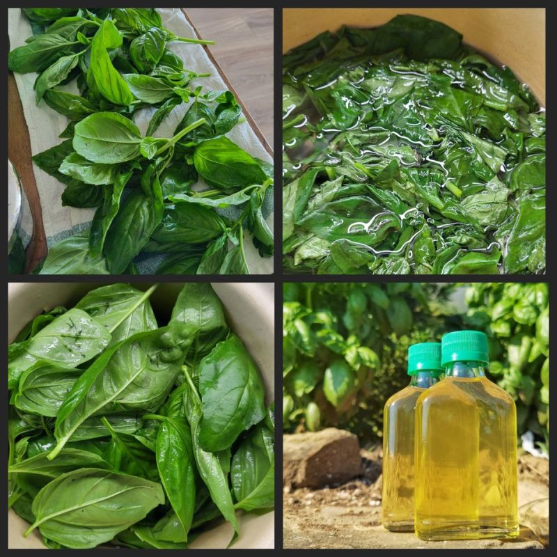 ����� �� ��������: ����� ����� �� ����� �����