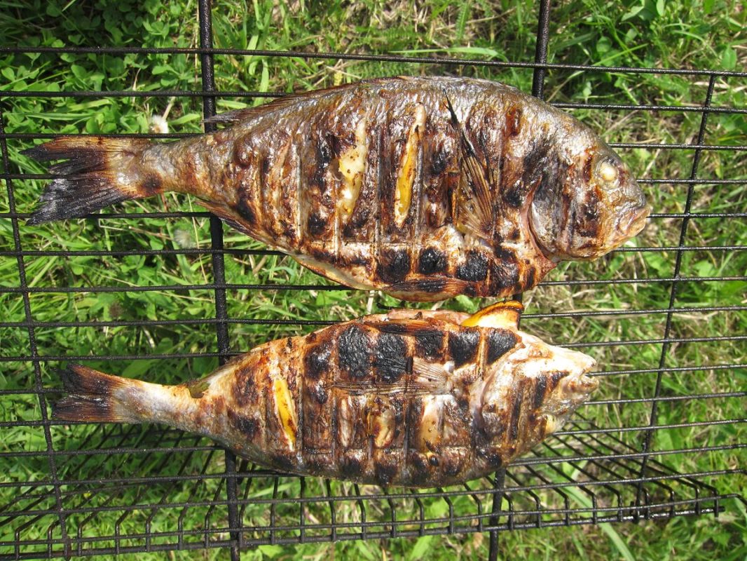 ������� �����������: �����-������ � ����� ��������� �� ��������