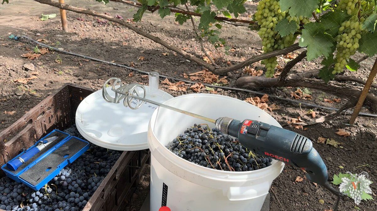 ��� ����������� ���� ��������� ������������ �� ��������� ������