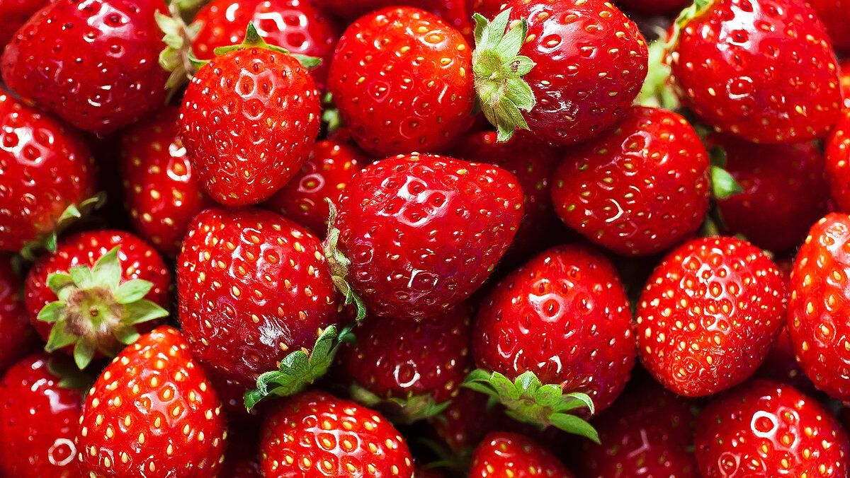 ��� ������� ��������� ��������: ������ ��� ��������