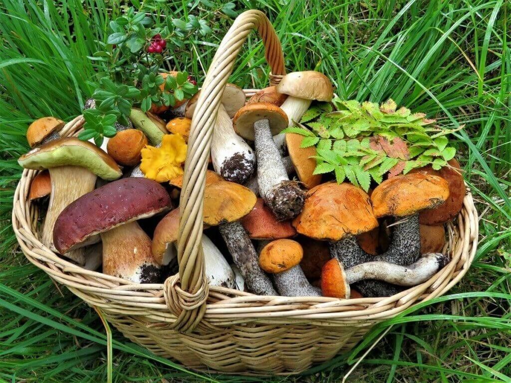 ��� ����������� ������� ��� � �������� �� ������ ������ ������