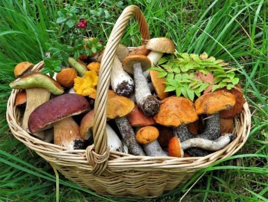 ��� ����������� ������� ��� � �������� �� ������ ������ ������