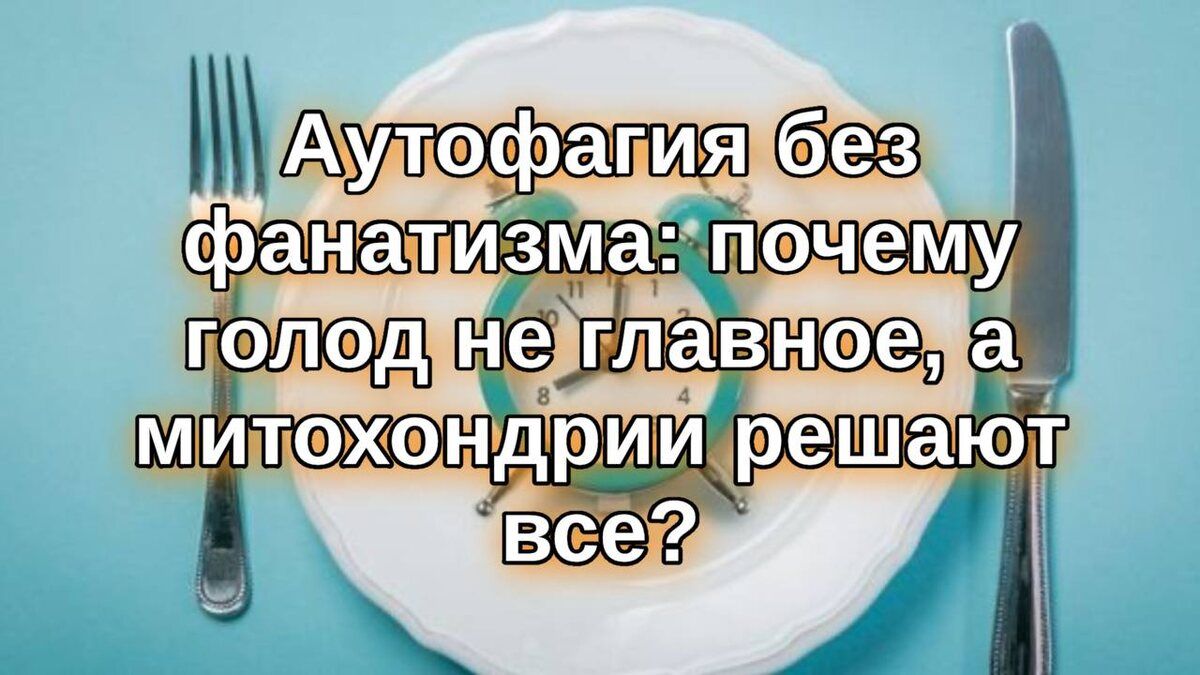Аутофагия: что стоит за истинным восстановлением организма