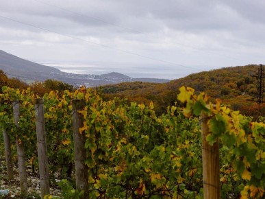 ���������� ������� ������������: ������-����� � ������ �� �������� ������