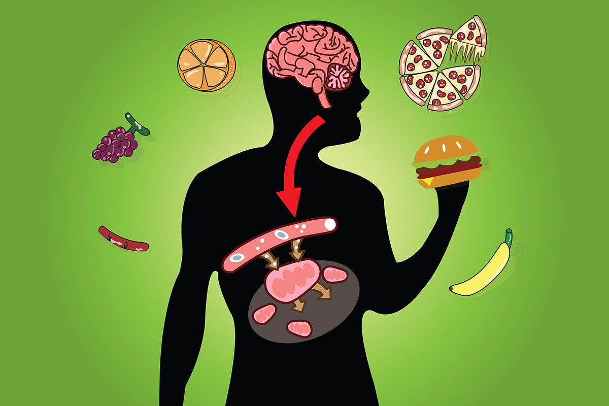 Как ускорить метаболизм: мифы и реальность
